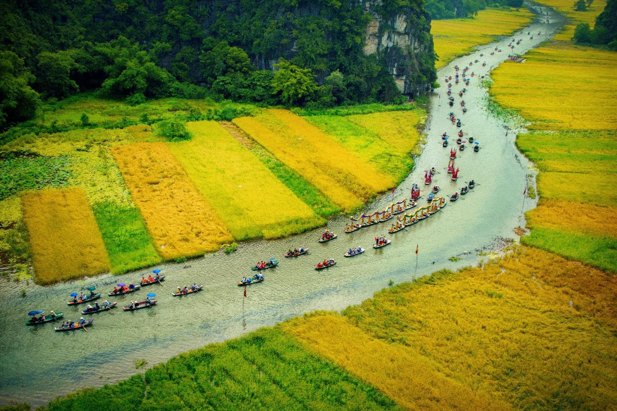 Truong Son Luxury